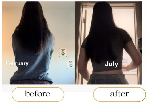 Transformation