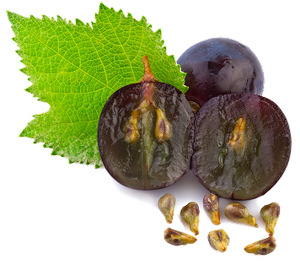 Grape Seed Oil